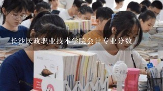 长沙民政职业技术学院会计专业分数