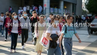 2015山东青年政治学院专科各专业投档情况