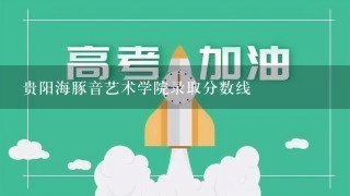 贵阳海豚音艺术学院录取分数线