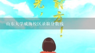 山东大学威海校区录取分数线