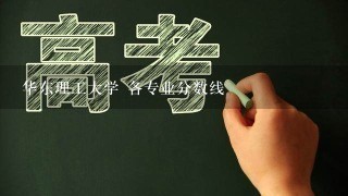 华东理工大学 各专业分数线