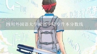 4川外国语大学成都学院专升本分数线