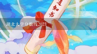 湖北大学分数线2023