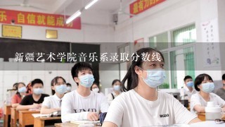 新疆艺术学院音乐系录取分数线