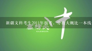 新疆文科考生2011年报考，分数大概比1本线低十分，想考经济类学校学市场营销专业，有什么适合的2本吗？