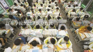 辽东学院2022录取分数线