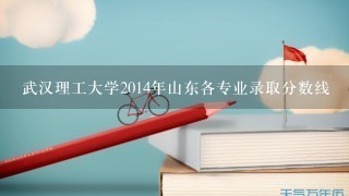 武汉理工大学2014年山东各专业录取分数线