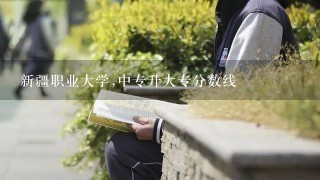 新疆职业大学,中专升大专分数线