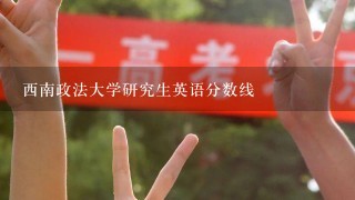 西南政法大学研究生英语分数线