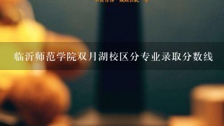 临沂师范学院双月湖校区分专业录取分数线