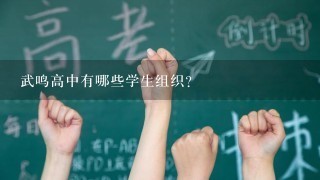 武鸣高中有哪些学生组织?