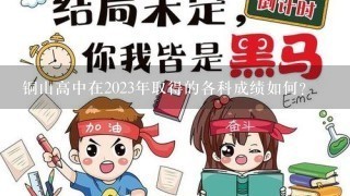 铜山高中在2023年取得的各科成绩如何?