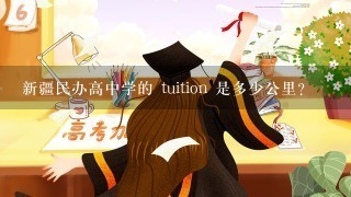 新疆民办高中学的 tuition 是多少公里?