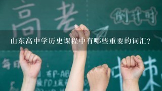 山东高中学历史课程中有哪些重要的词汇?